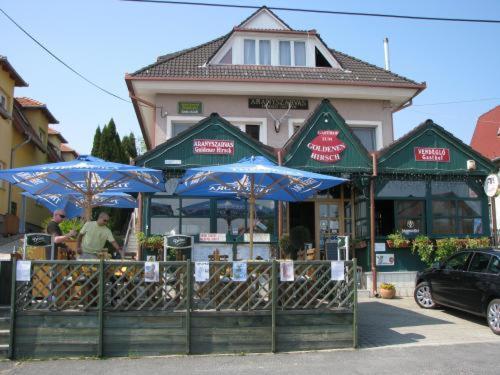 Aranyszarvas-Goldener Hirsch Pension Zalakaros Kamer foto